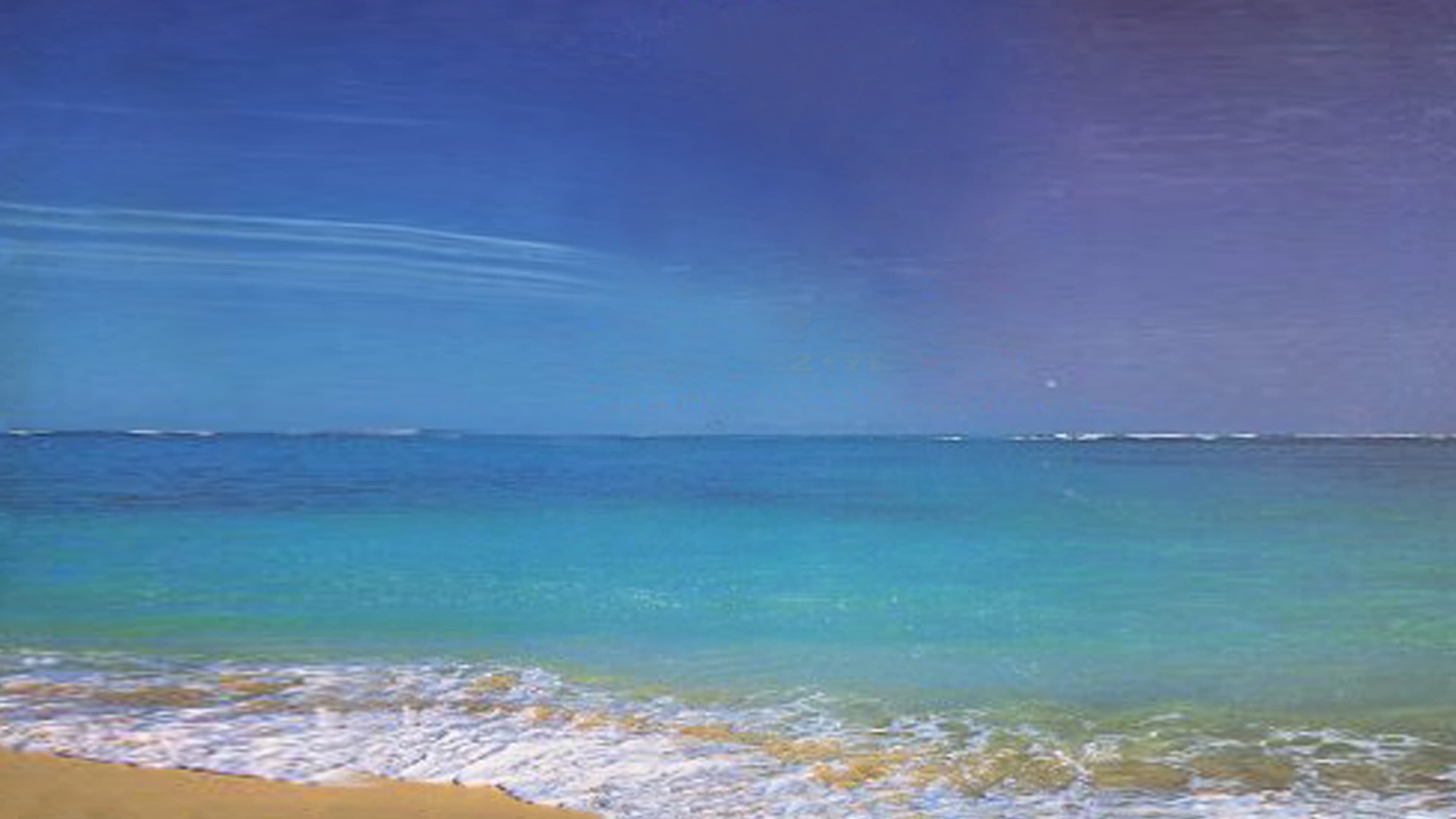 WWE Royal Rumble 1995