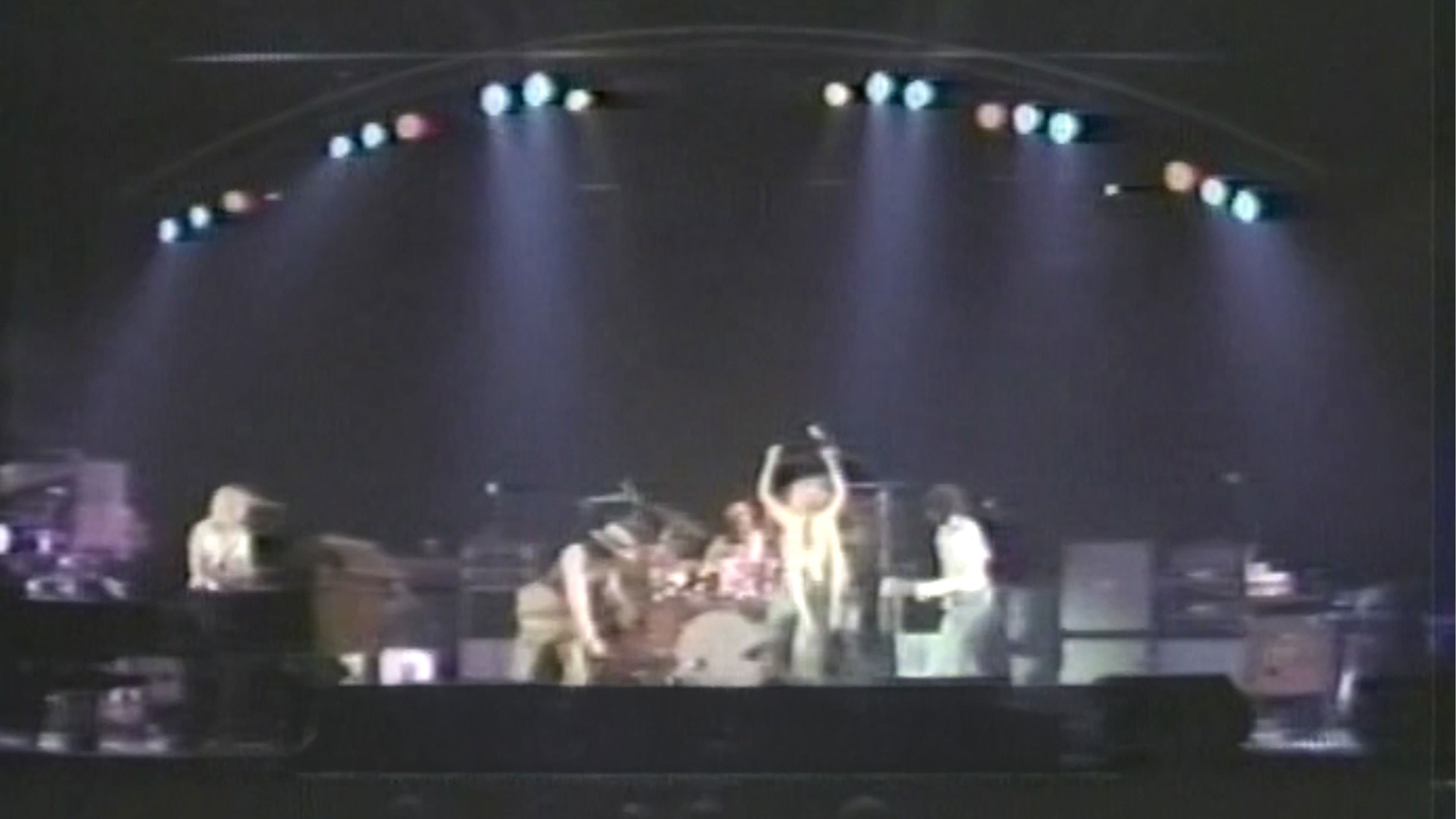 Fleetwood Mac - Live at the Capitol Center