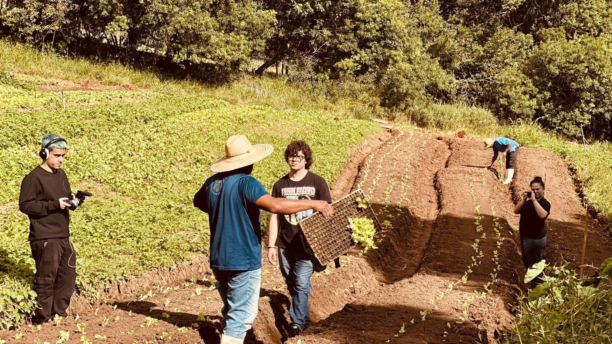 Tuesdays, Saturdays, Sundays