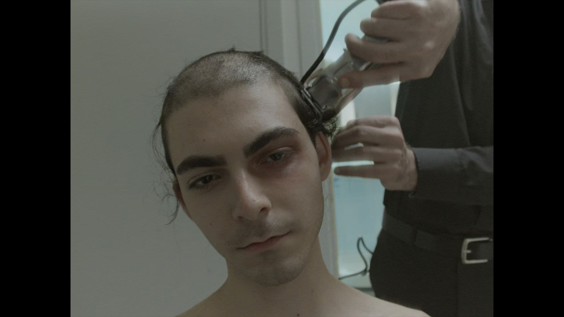 Book of Suffocations