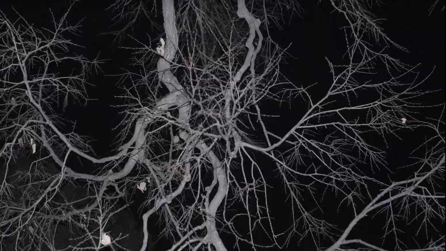 Lack of Organization