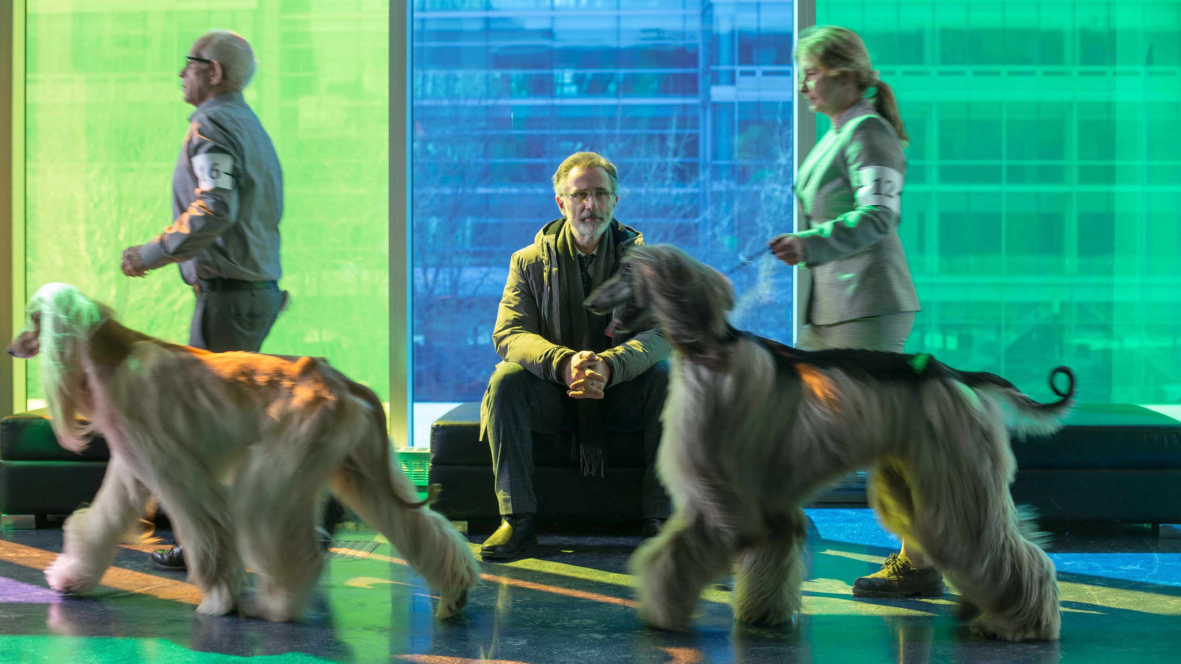 The New Life of Paul Sneijder