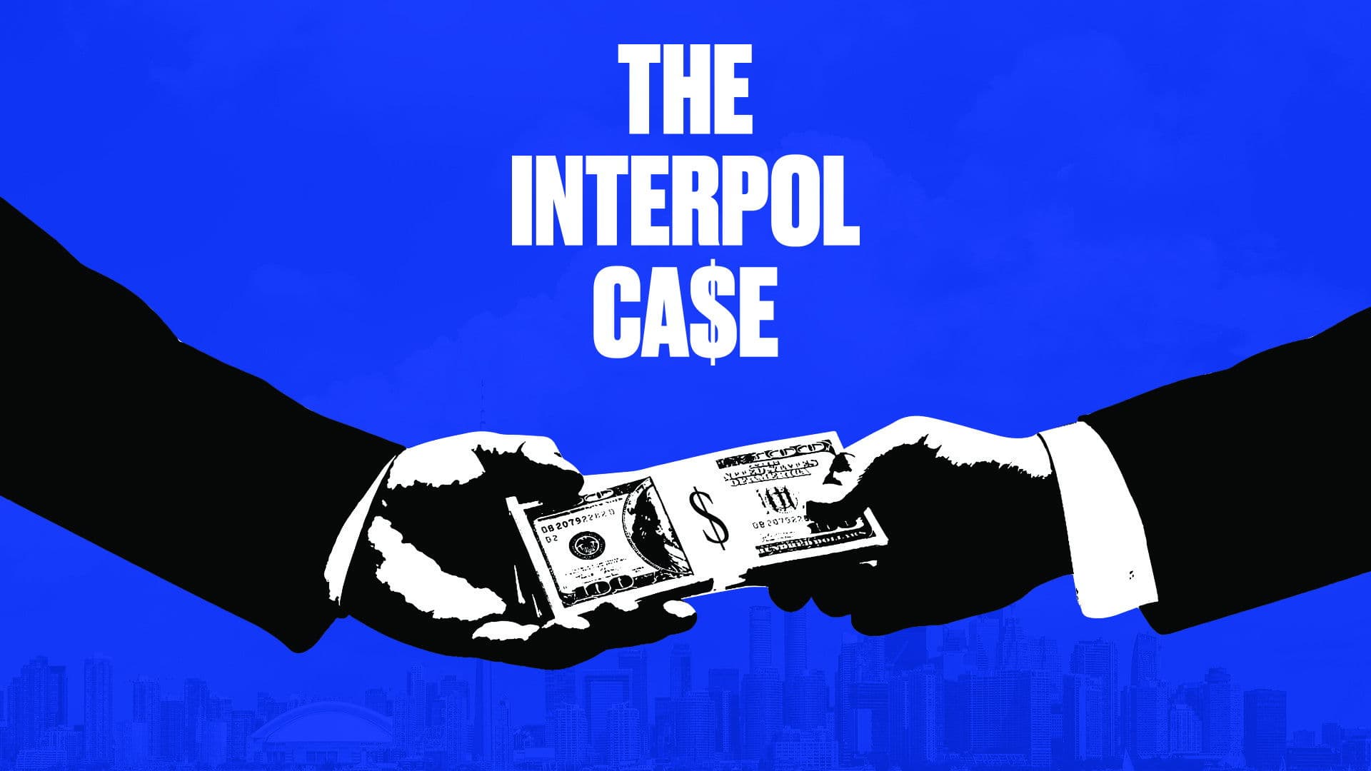 The Interpol Case