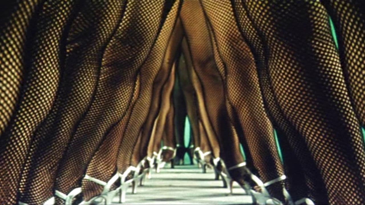 The Woman Who Touched Legs