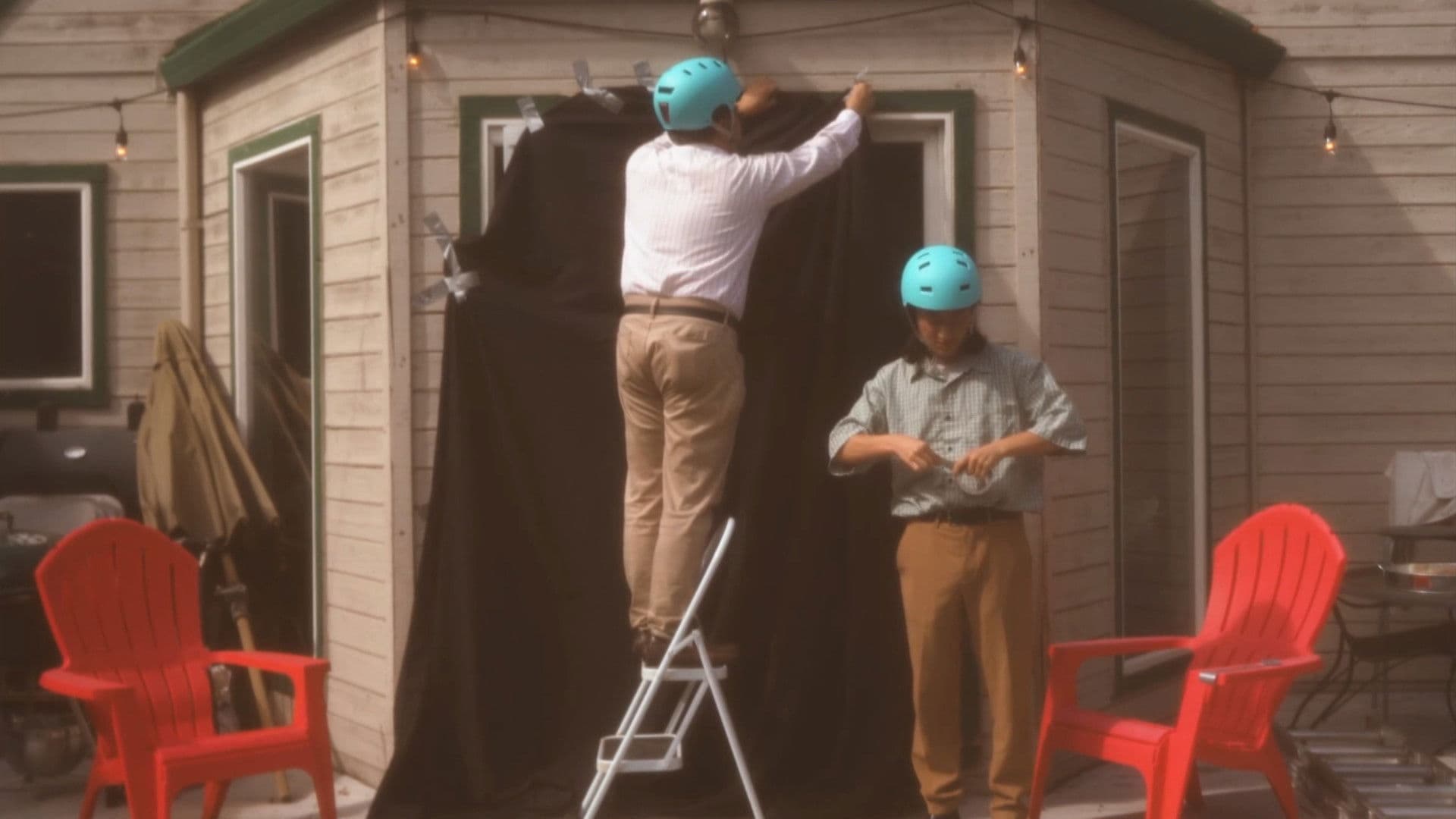 The Not So Flightless, Flightless Bird