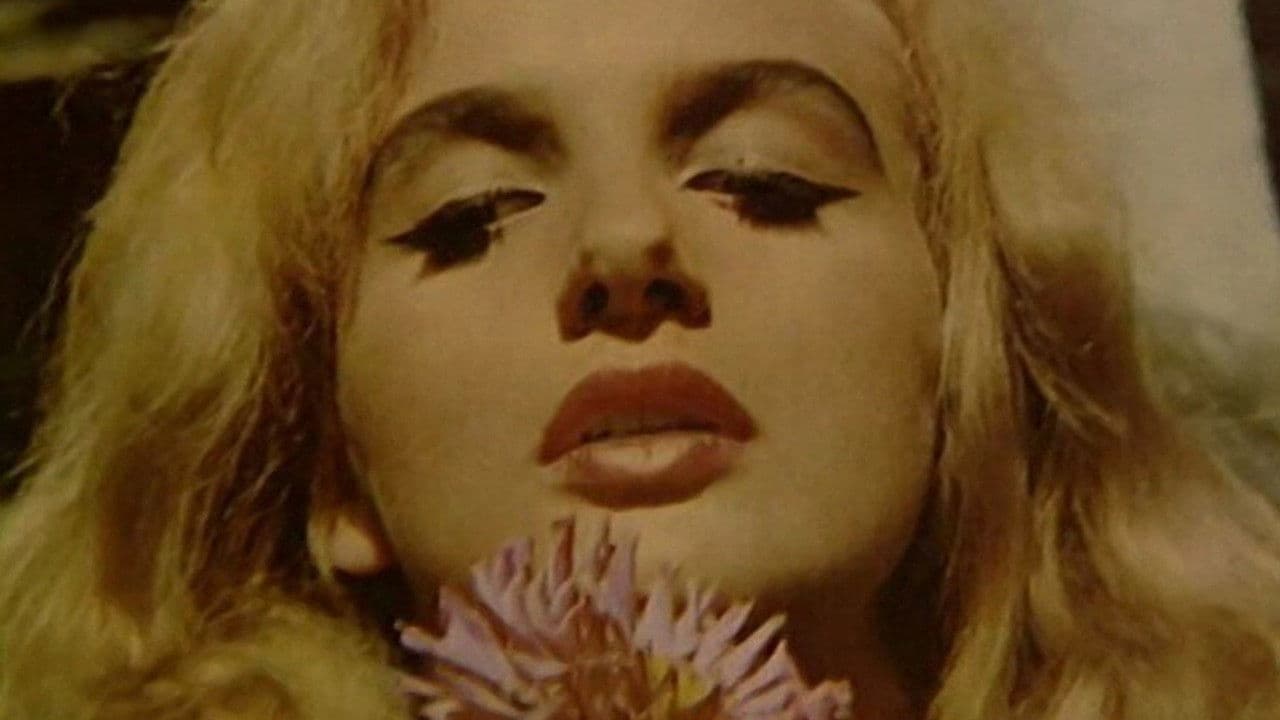 Didn't Do It For Love