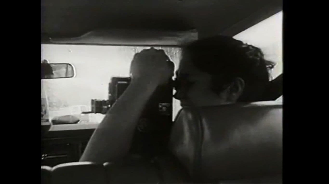 Road Movie or What I Learned in a Buick Station Wagon