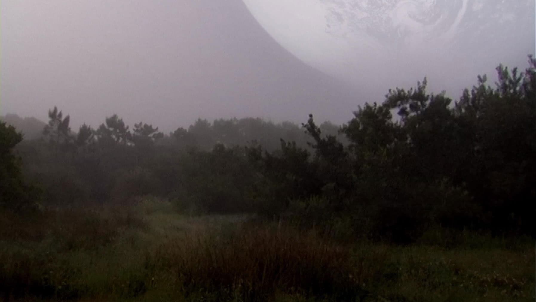 The Outer Space Forest