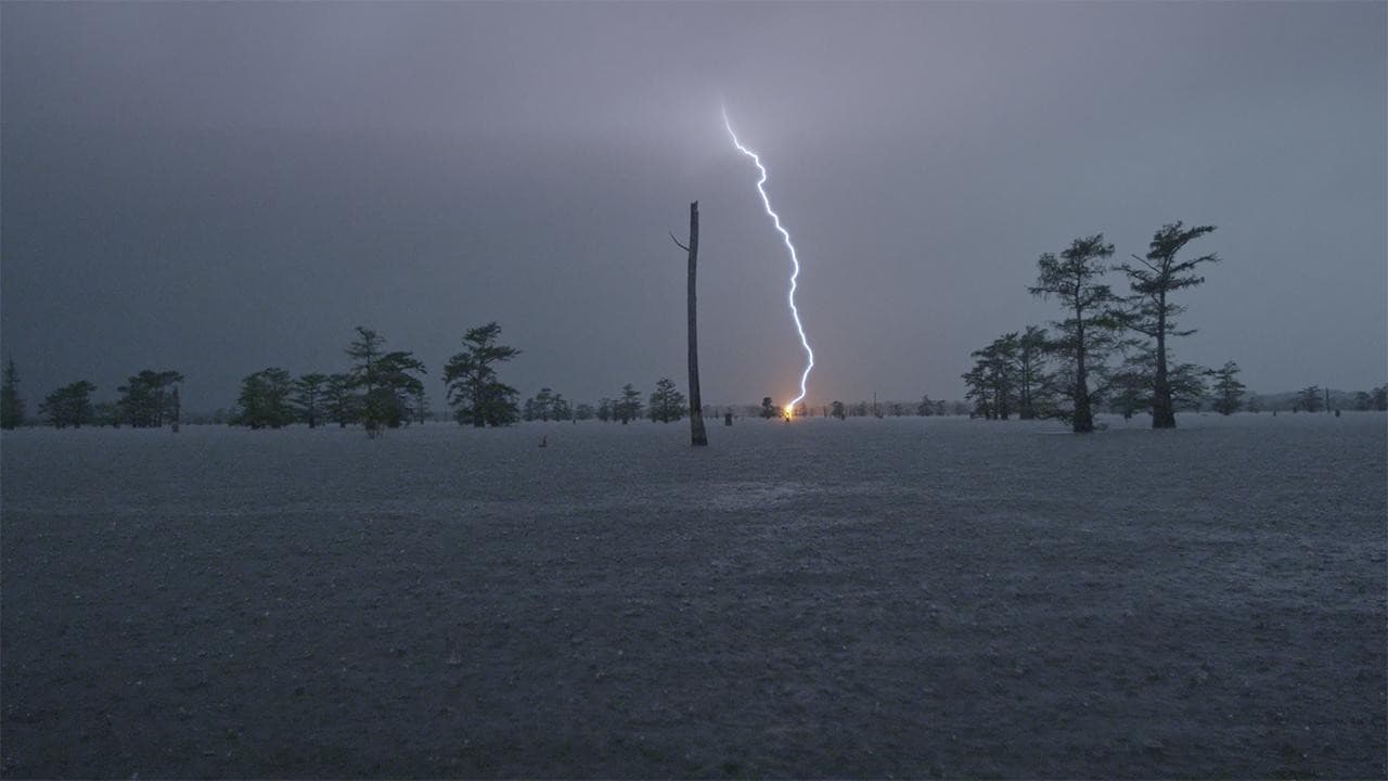 2017, The Disaster Diaries