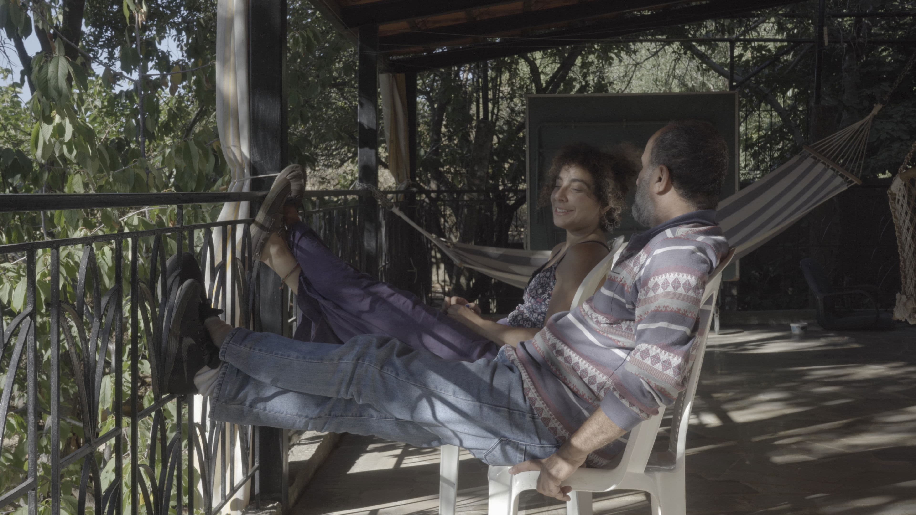 The cats, the sea, and everything in between.