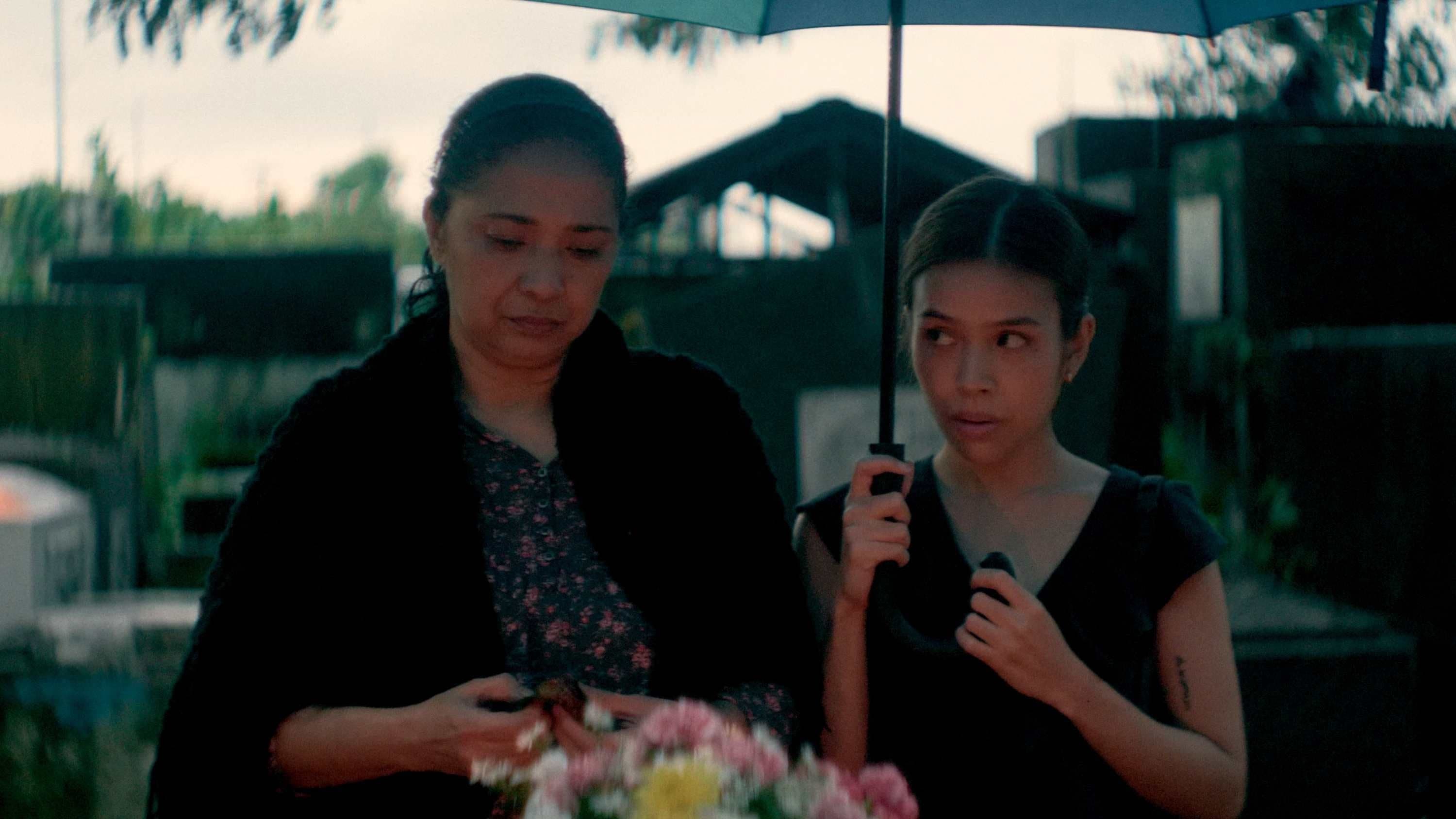 When It Rained Malunggay Leaves