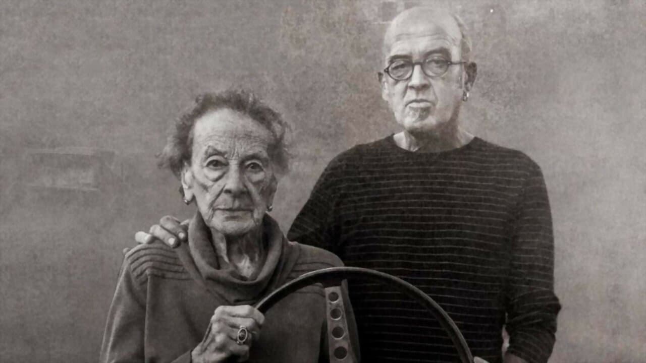 Story of a Steering Wheel