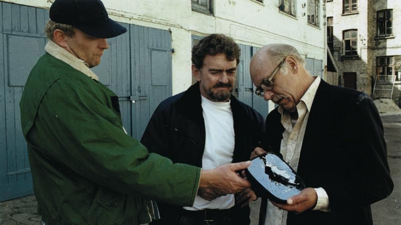 Release All the Horses