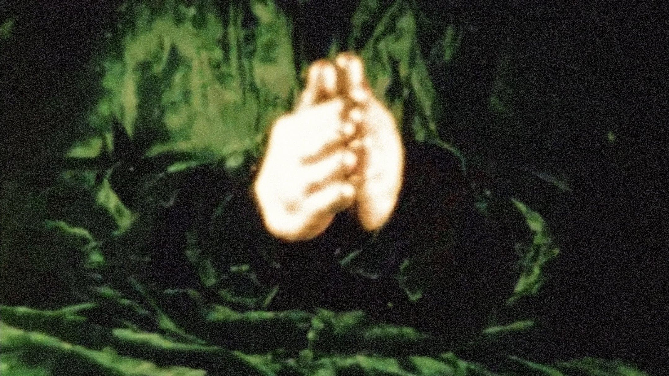 The Story of the Little Green Man