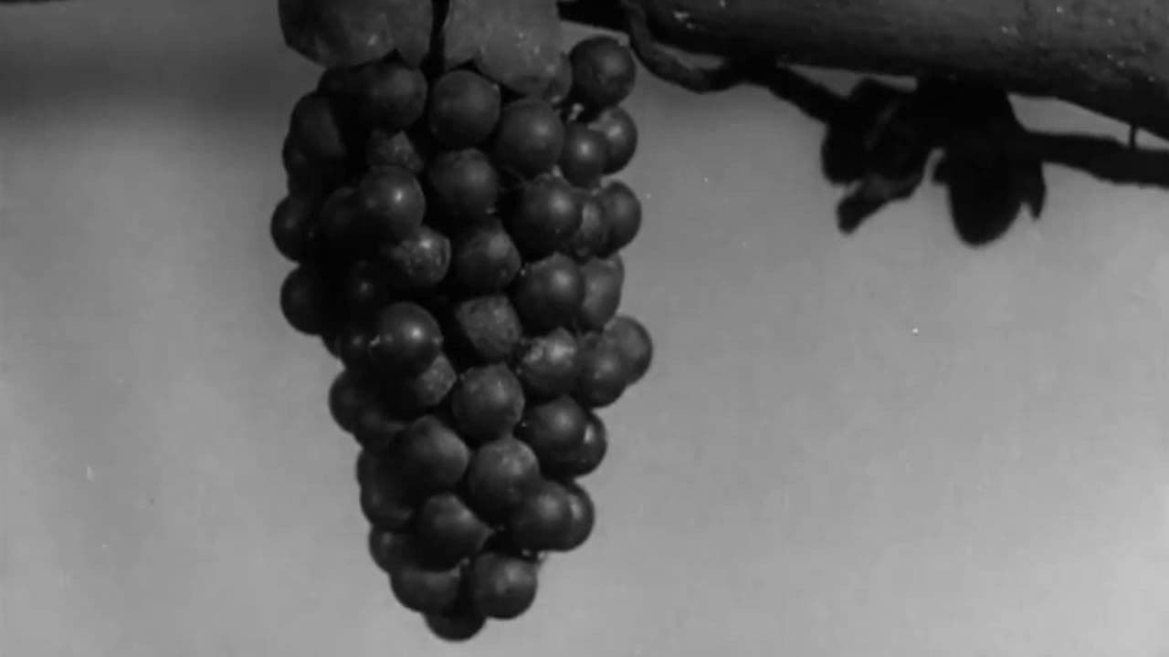 The Fox and the Grapes