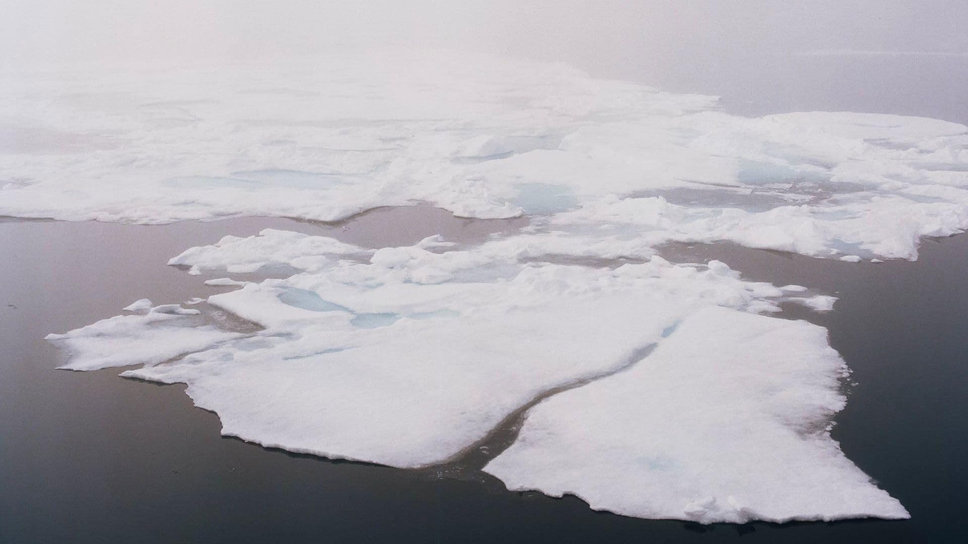 A Map of the World in Time