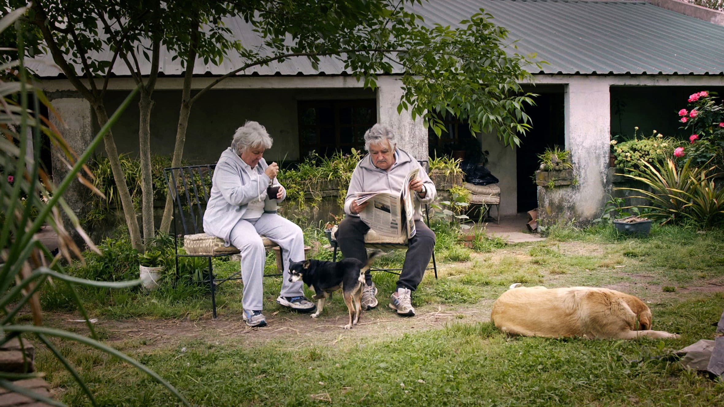 Pepe Mujica: Lessons From the Flowerbed