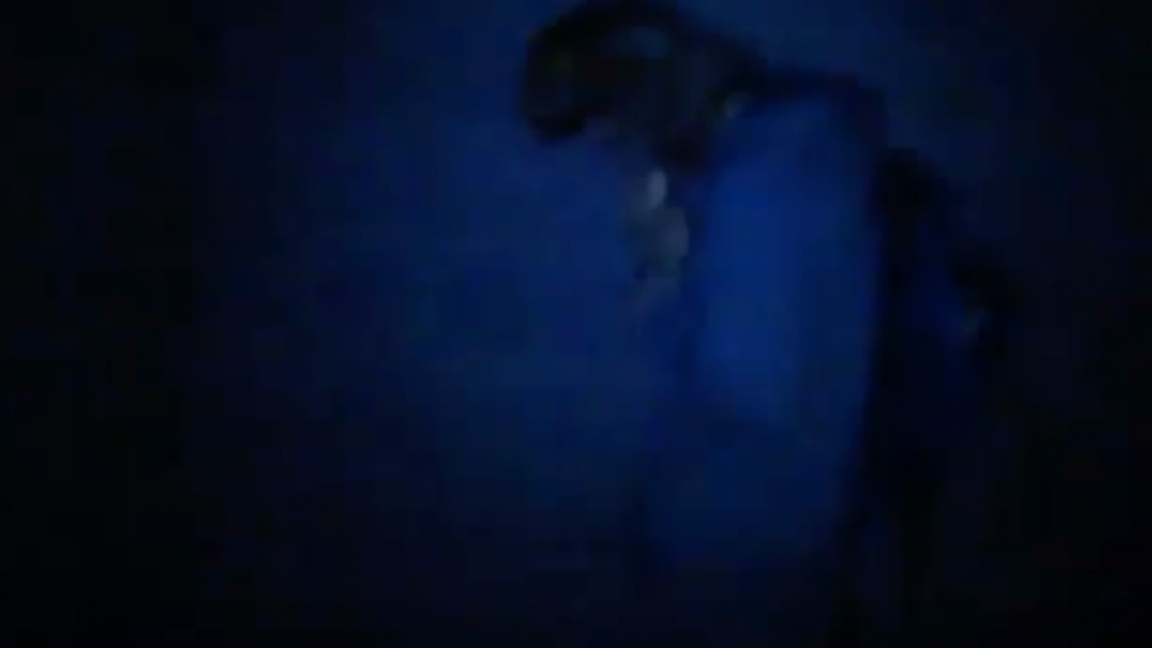 The Jay Monkey Project