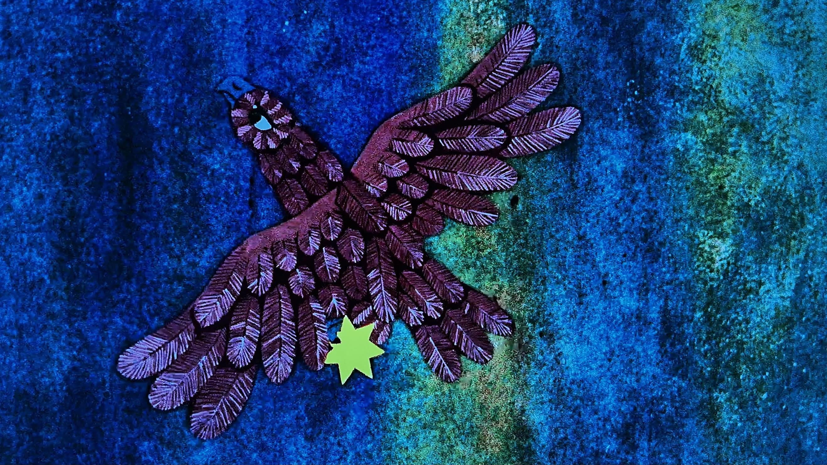 Jana and the Little Star