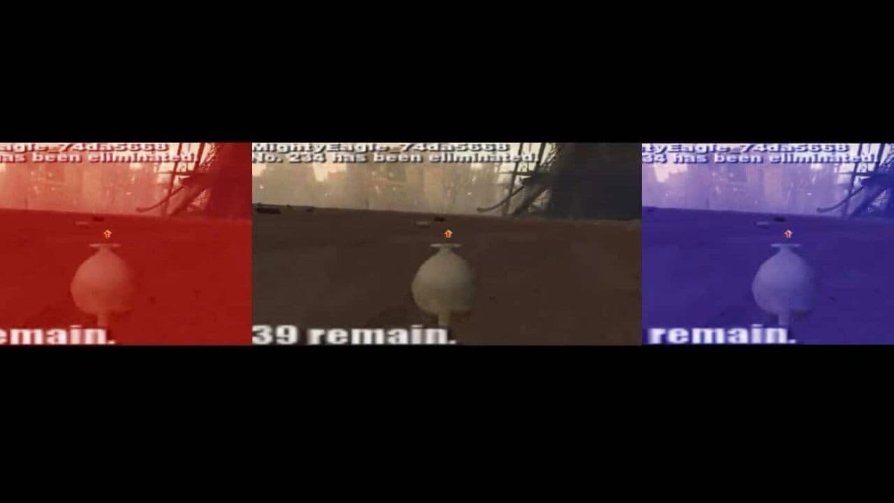 Crazy Cattle 4D: Highlights War Zone