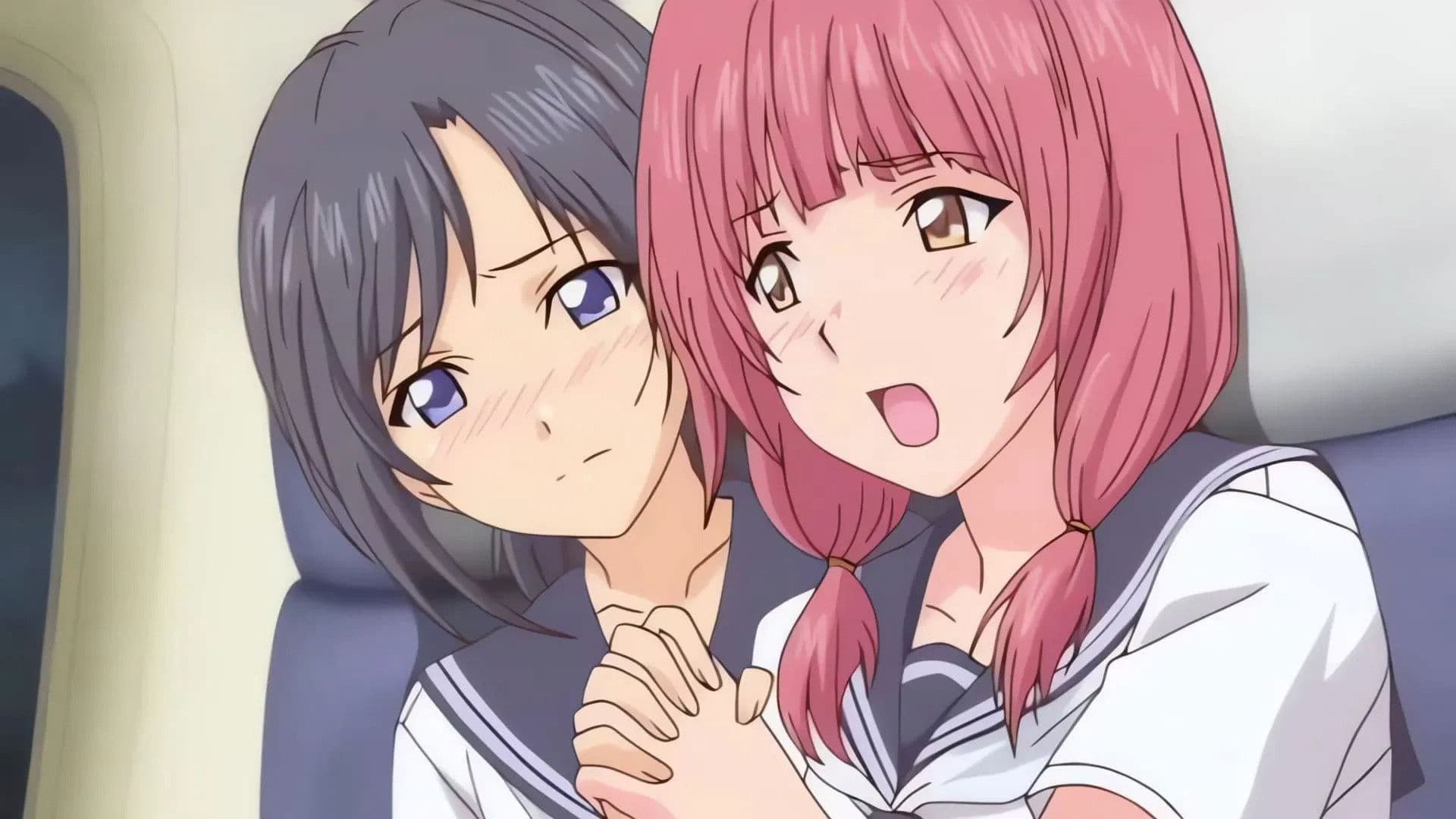 Boy Meets Harem: The Animation