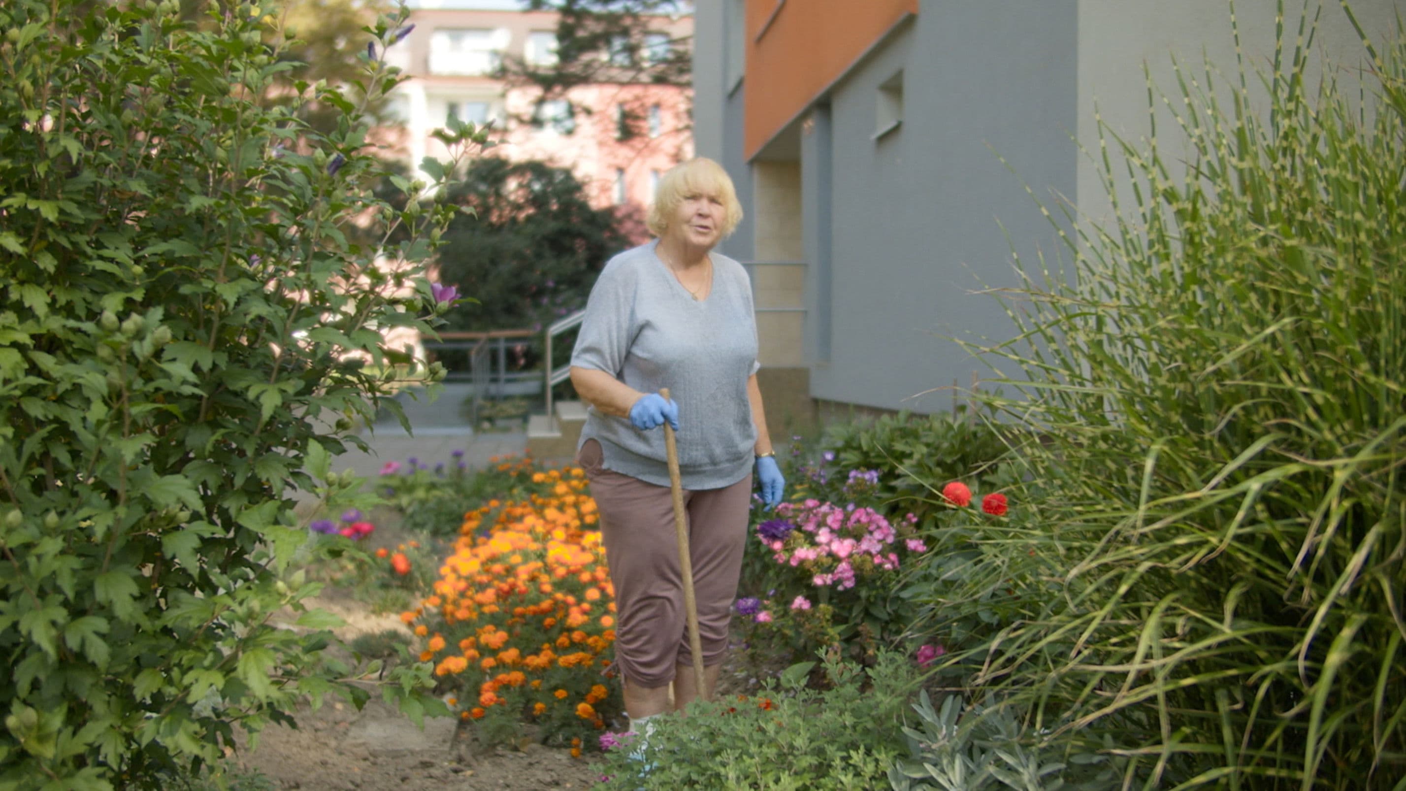 Babička jako Šance