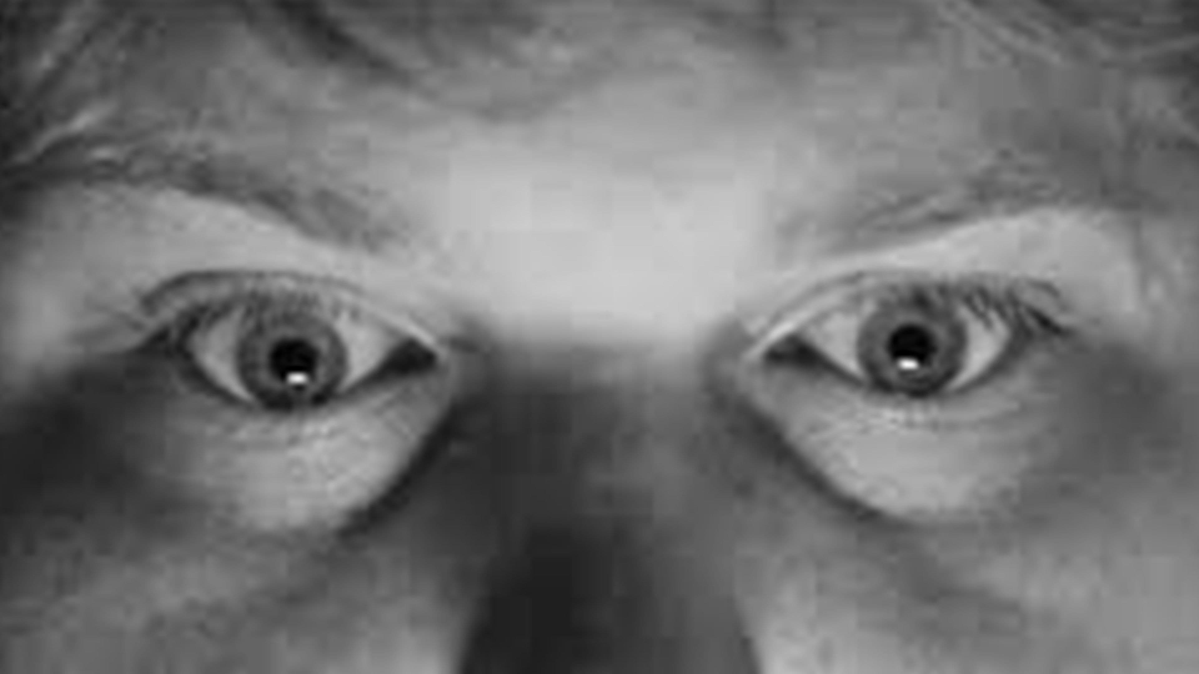 The Murders of Whitney Manor