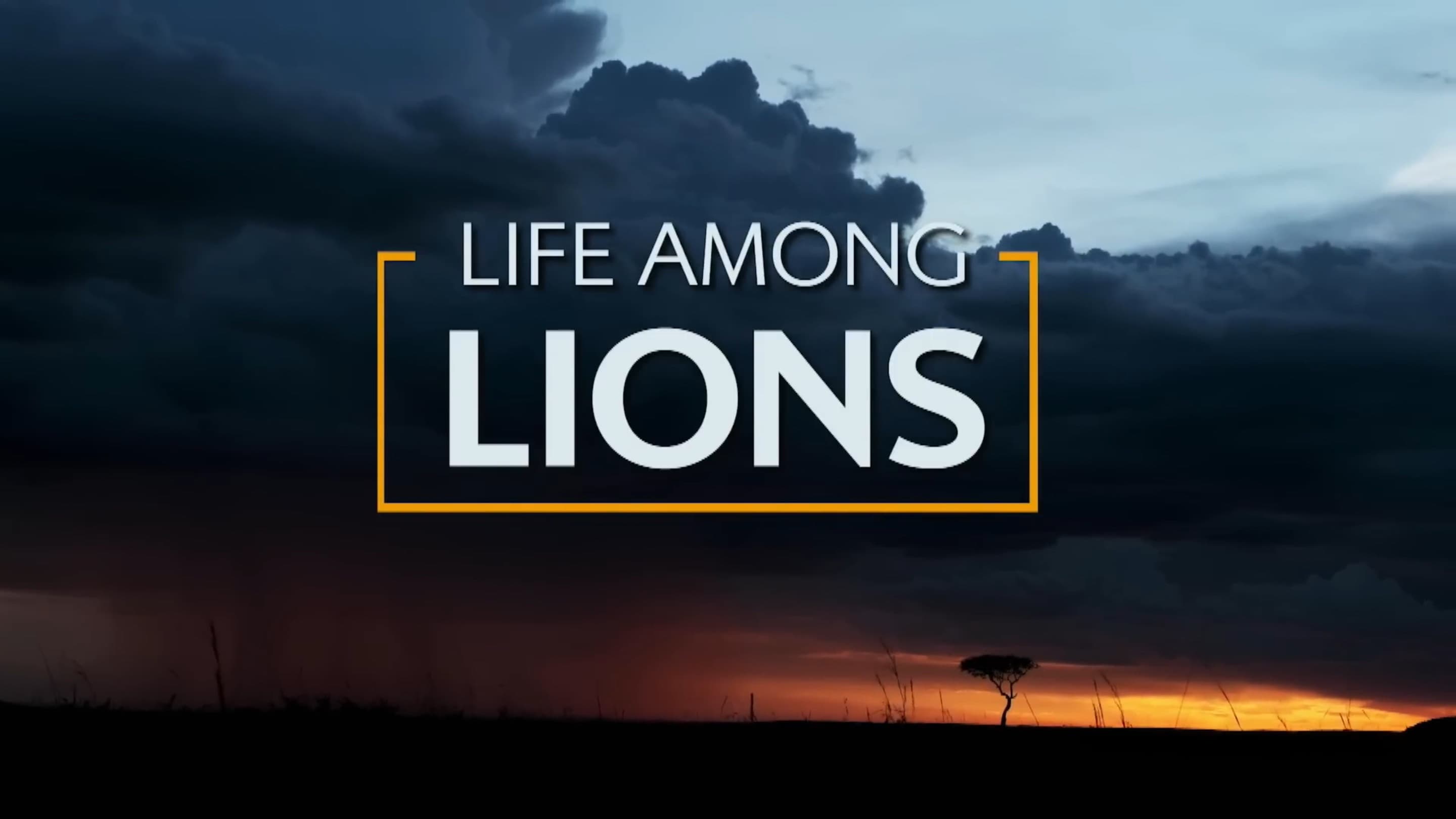 Life Among Lions