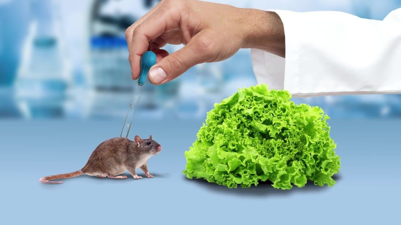 The Weight of Chains 3