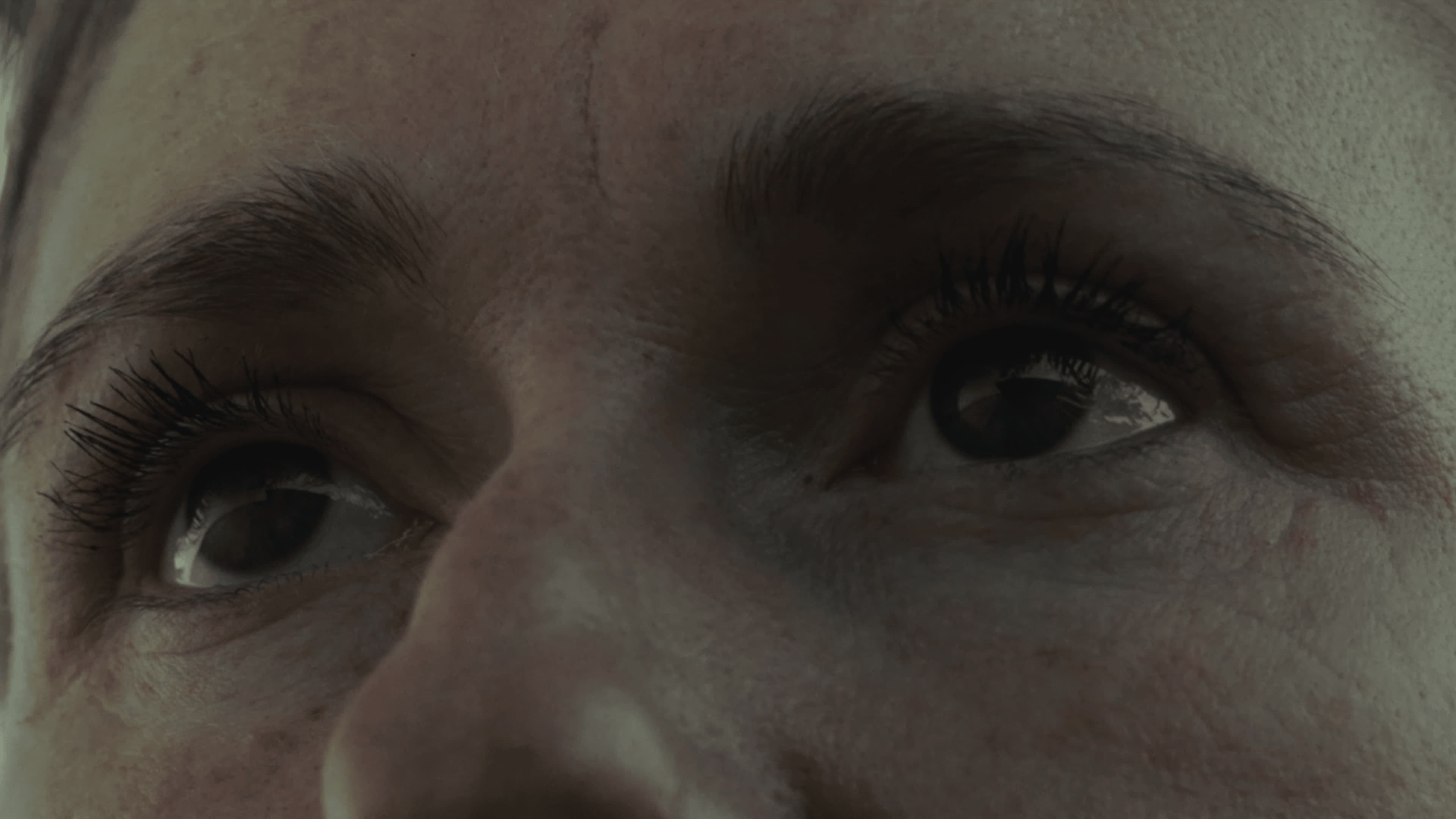 The Border at Tolstoi