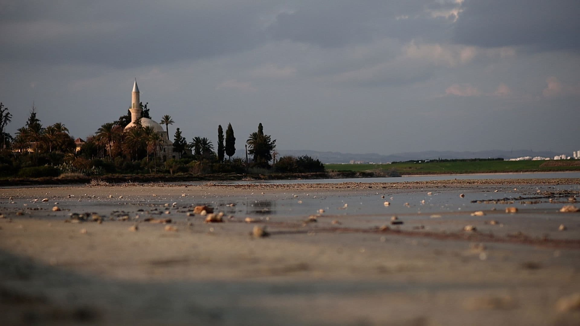 Vanishing Pink Remains