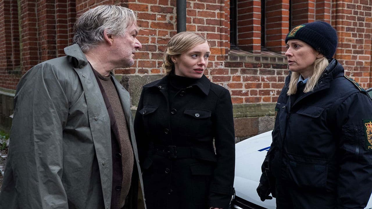 Der Dänemark-Krimi - Blutlinie