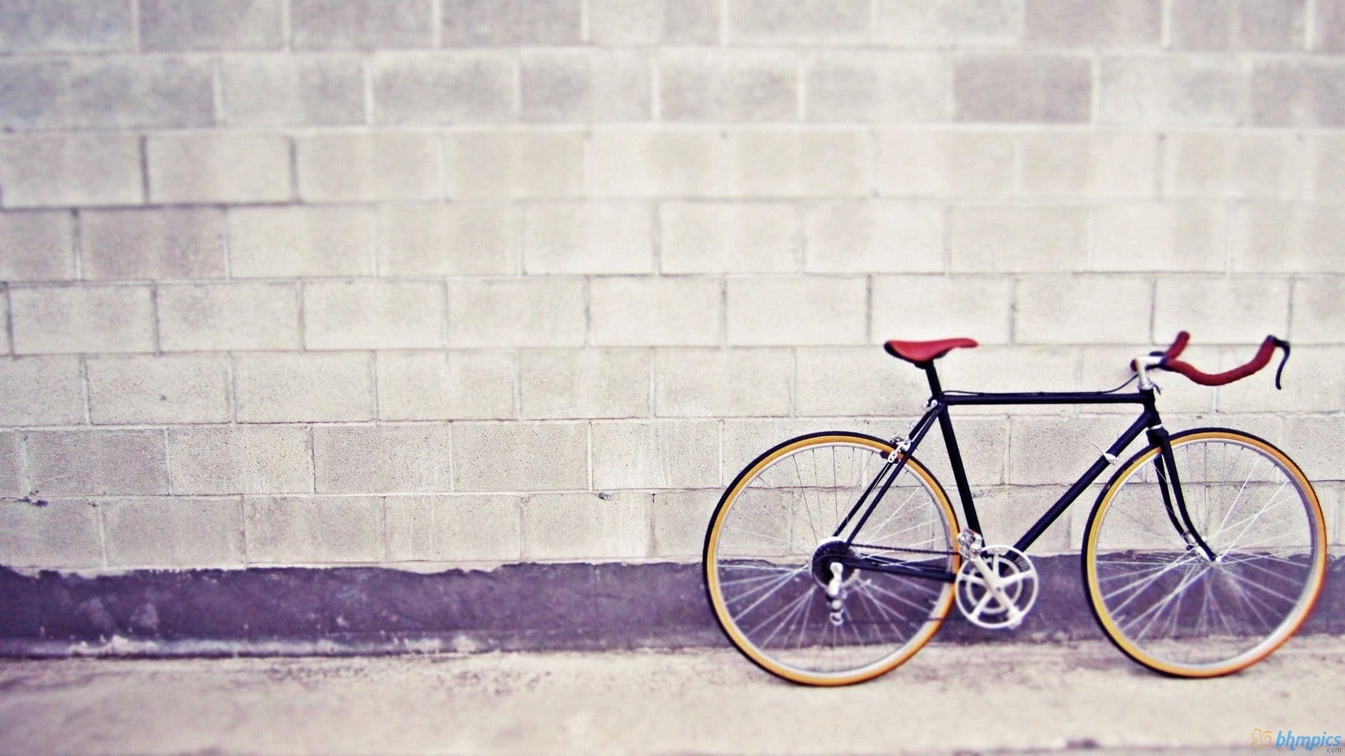 fixie