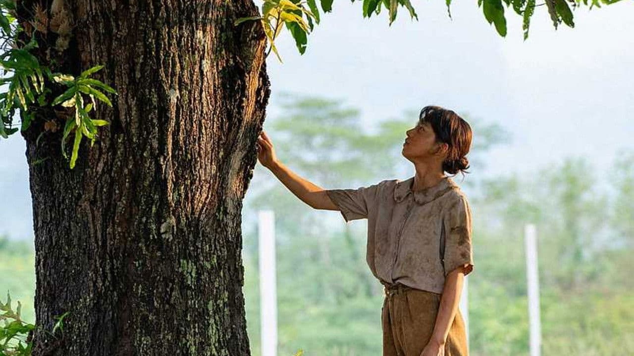 Mango no Ki no Shita de