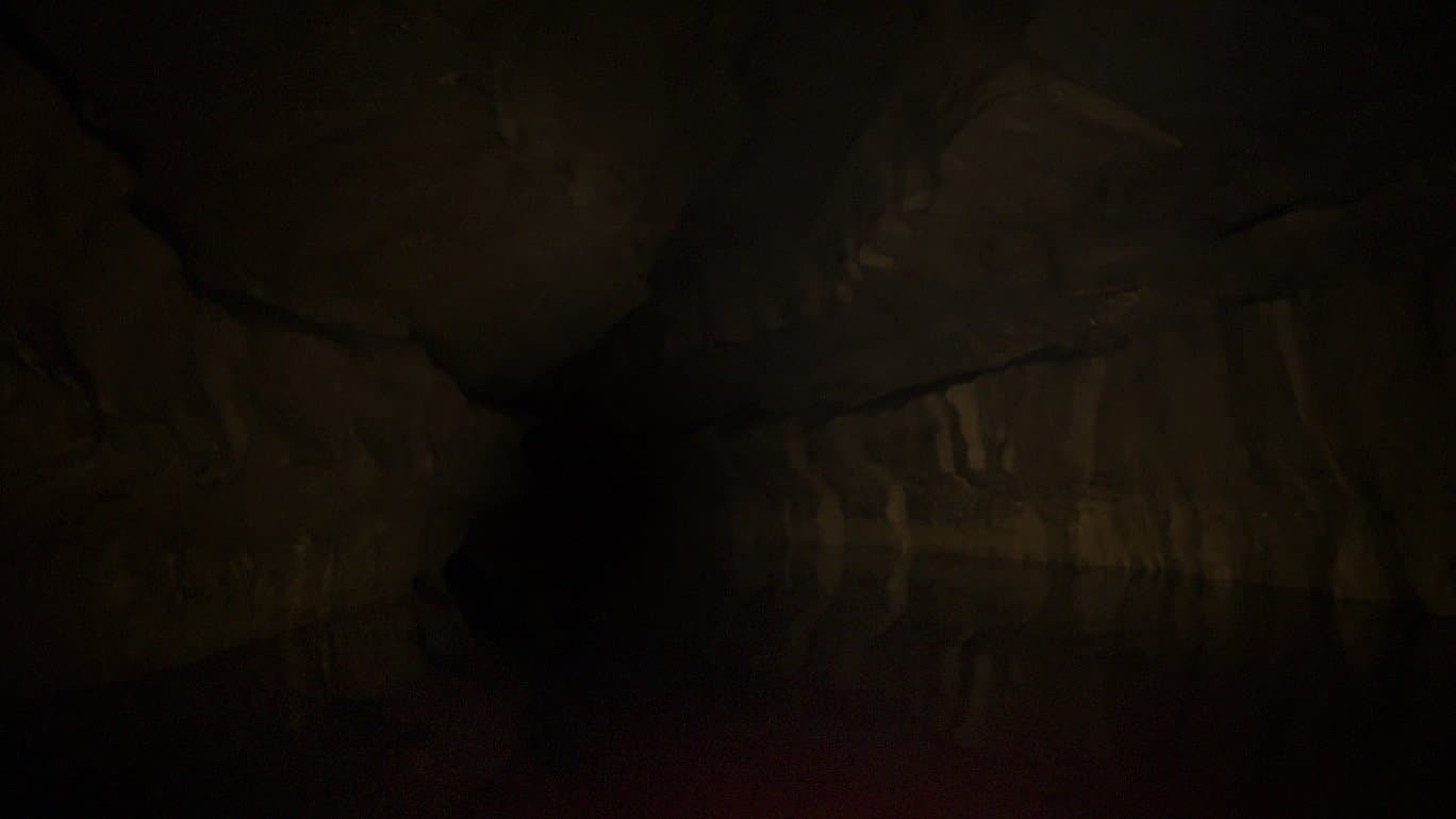 The Belly of the Beast