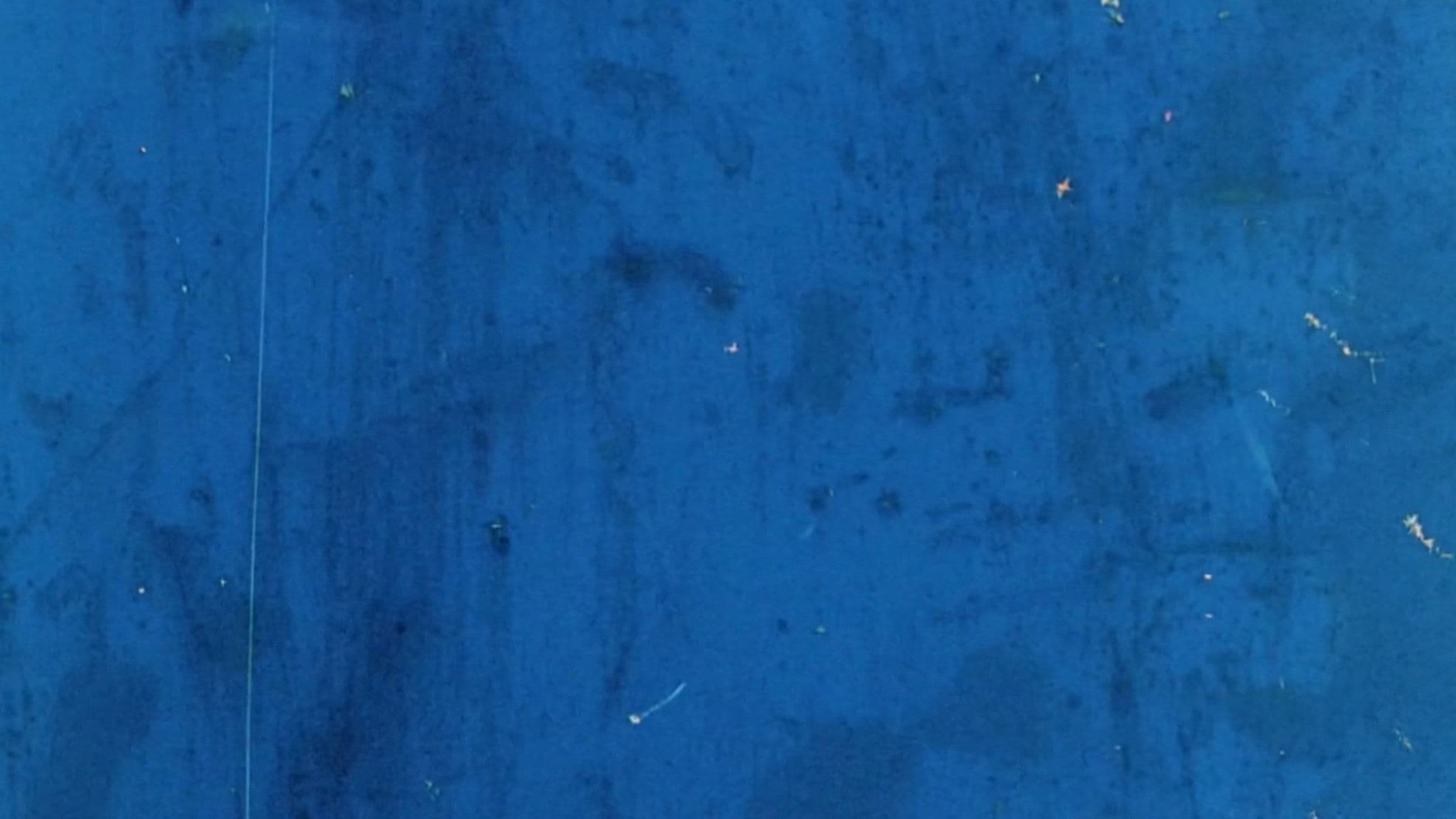 Sound of a Million Insects, Light of a Thousand Stars