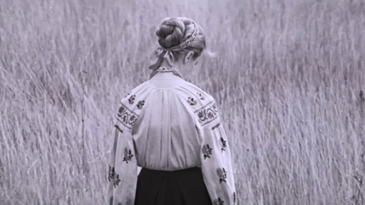 I'm Coming to You...