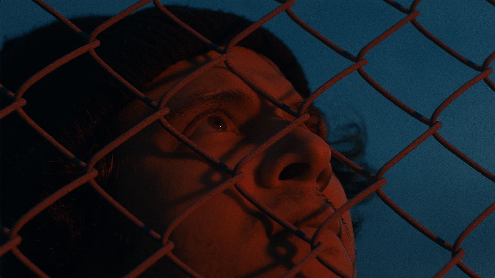 A Place Under The Stars