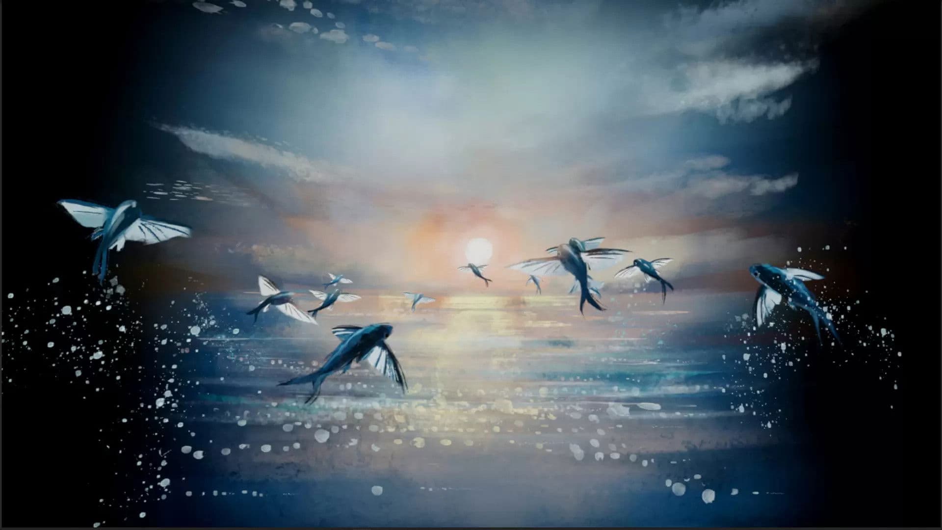 Sosowon : The Season of the Flying Fish