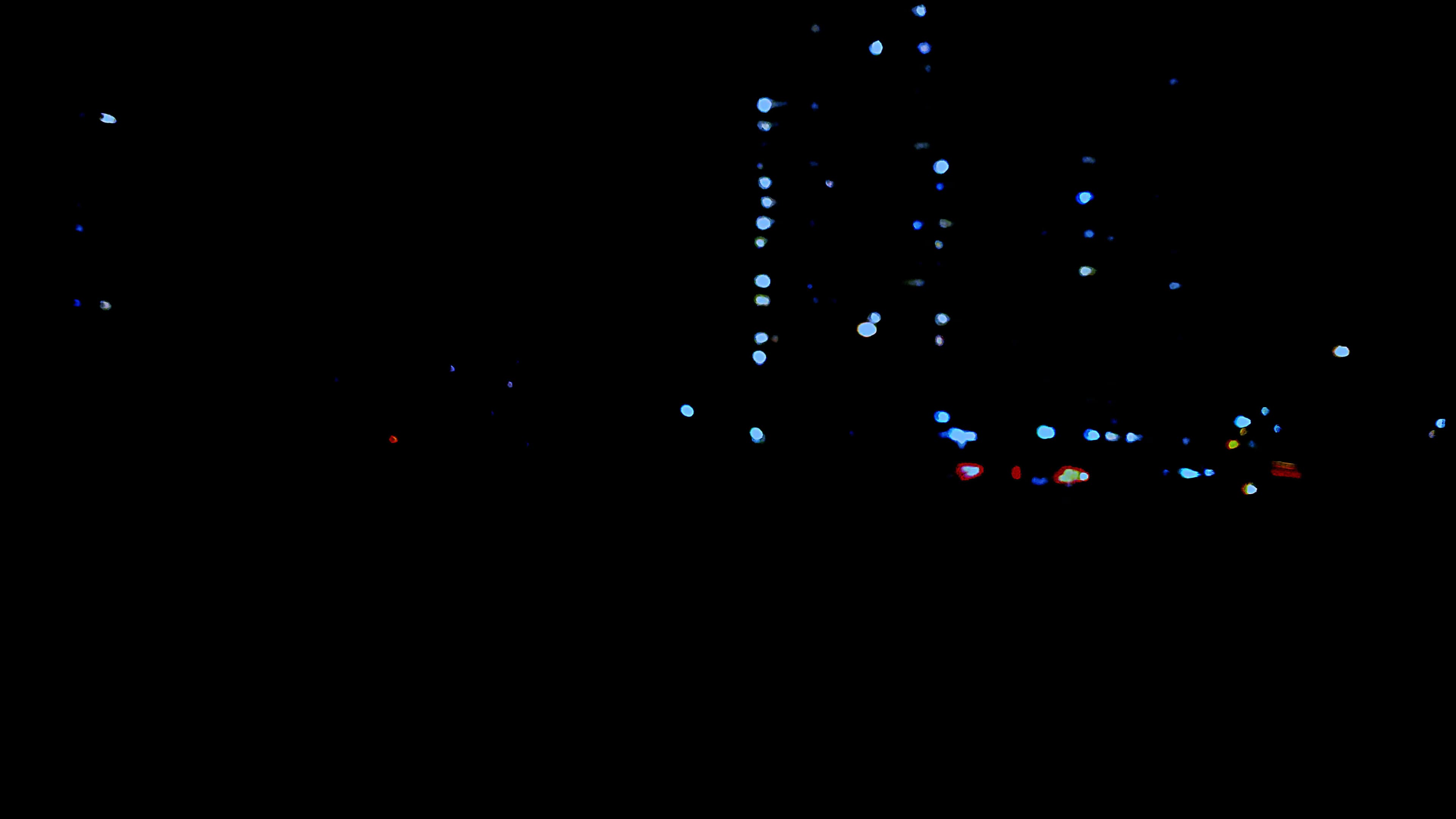 Remembrance of a Summer from an Etobicoke Hotel