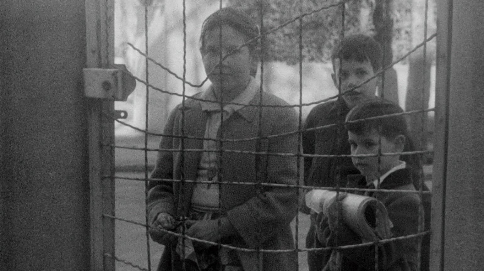 Práctica de 2º curso