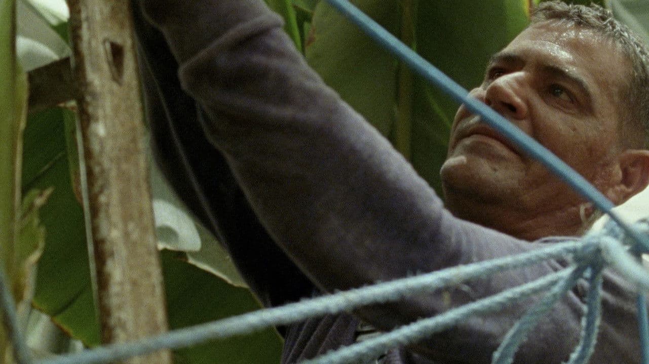 A Hundred-Headed Dragon