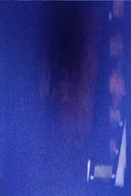 Kevin Casciani Nolan