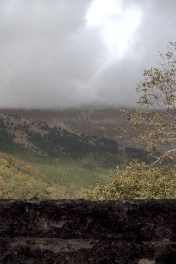Quarta passeggiata - Un giro di giostra