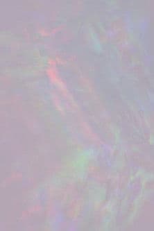 Within Without Horizon