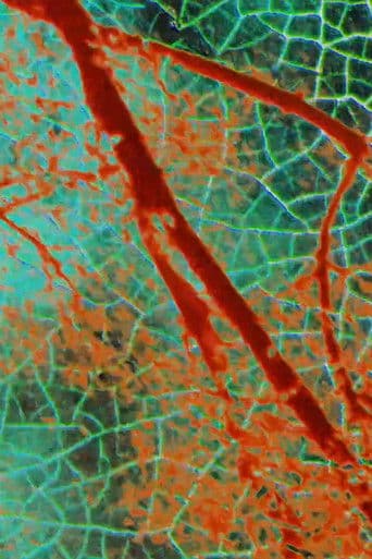 Seven Minutes in May