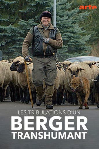 Les tribulations d'un berger transhumant