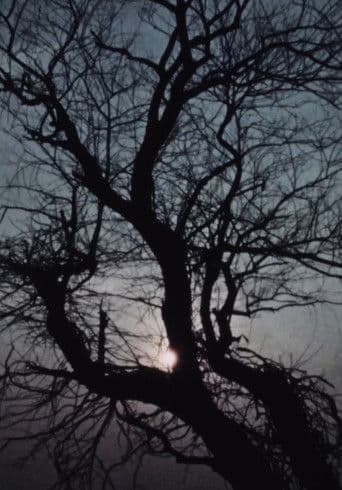 Street Film Part VII