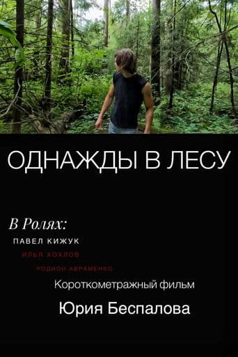 Once Upon a Time in the Forest