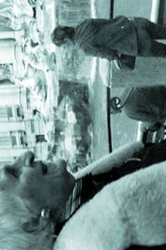 THE INTERPRETER OF BLACK AND WHITE FILMS